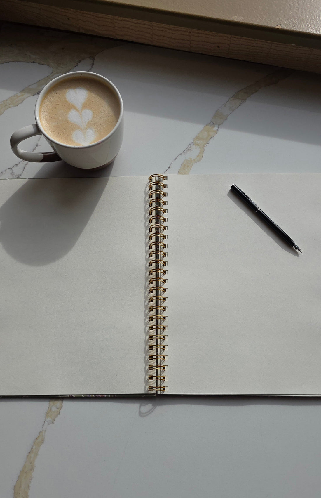Sketchbooks