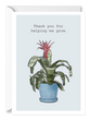 Plant Card Assortment 6-Pack