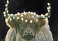 Bison Horns- 