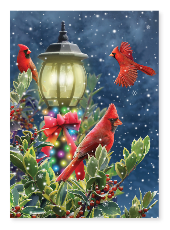 Christmas Solitude 