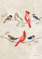 Feathered Friends- 