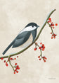 Feathered Friends- 