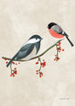 Feathered Friends- 