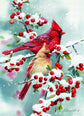 Winter Cardinals - Exceptional Value 