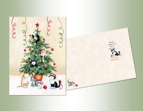 Kitty Christmas Exceptional Value