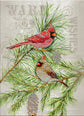 Cardinals - Die Cut Collection 