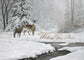 Wishing You Peace - Deluxe Glitter 